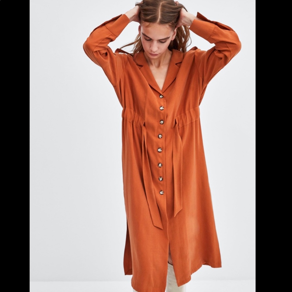 Zara Dress - Picture 3 of 12
